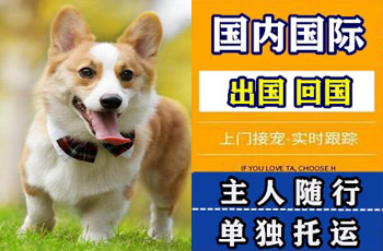 三亚宠物托运公司三亚宠物托运公司三亚宠物托运公司