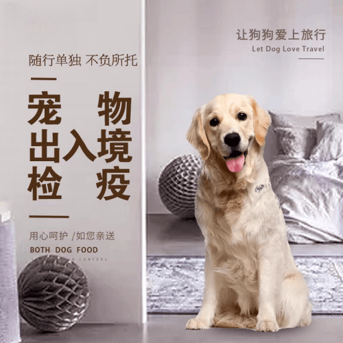 三亚宠物托运到哥伦比亚猫狗宠物入境规定和