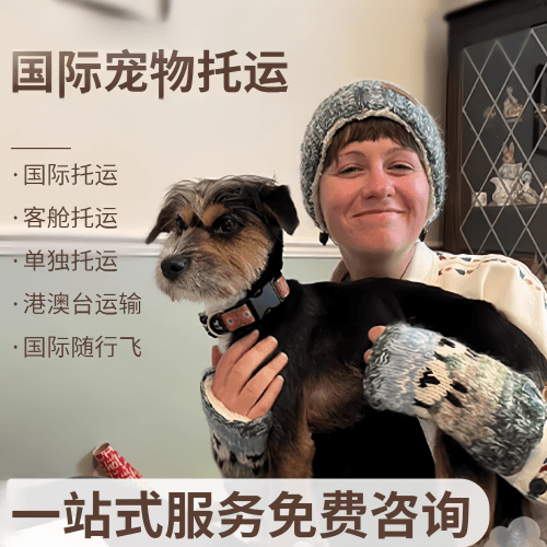 三亚国际宠物托运到阿根廷宠物入境规定和要