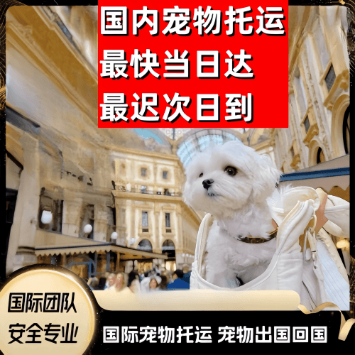 三亚到澳大利亚（澳洲）宠物入境规定和要求