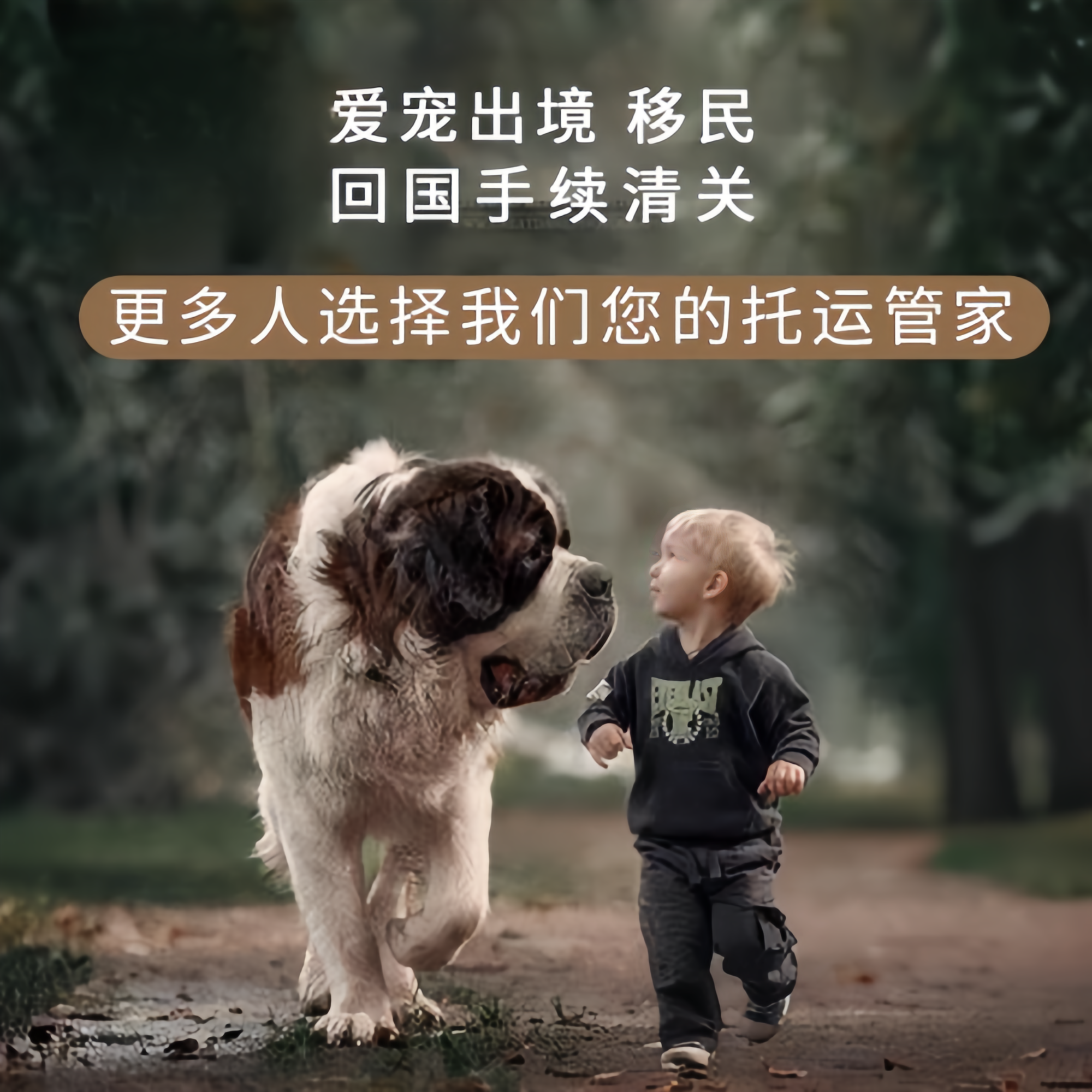 满财三亚宠物全球达宠物托运在遵守入境目的地政策的条件