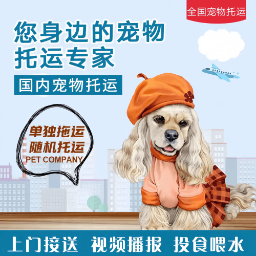 满财三亚宠物全球达宠物托运作为专业的宠物运输代理机构